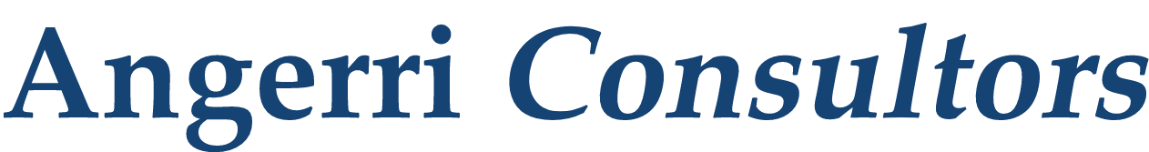 angerri-consultors-logo